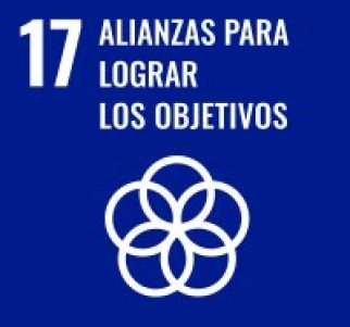 17 alianzas